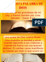 La Bendita Palabra de Dios