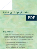 1pathology Limfnode Unimal