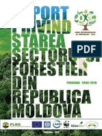RAPORT starea sectorului forestier.pdf