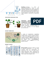 Asexual Propagation