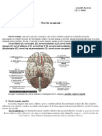 Nervii Cranieni Referat Anatomie