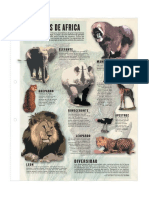 ANIMALES DE AFRICA.pdf