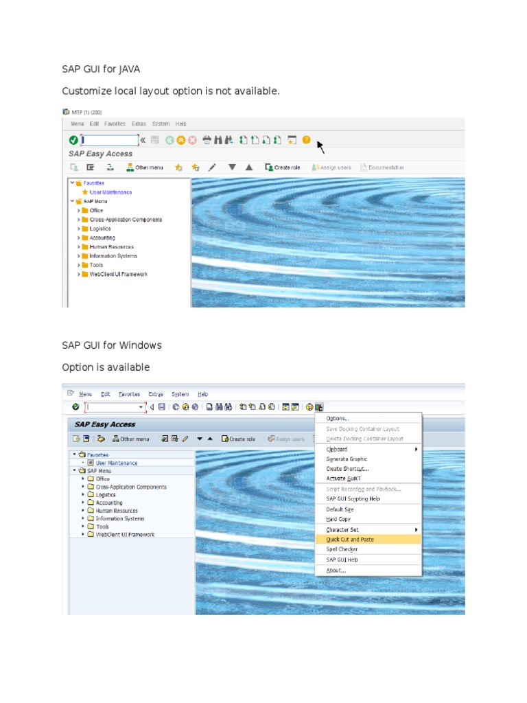 Sap Gui For Java Customize Local Layout Option Is Not Available | PDF