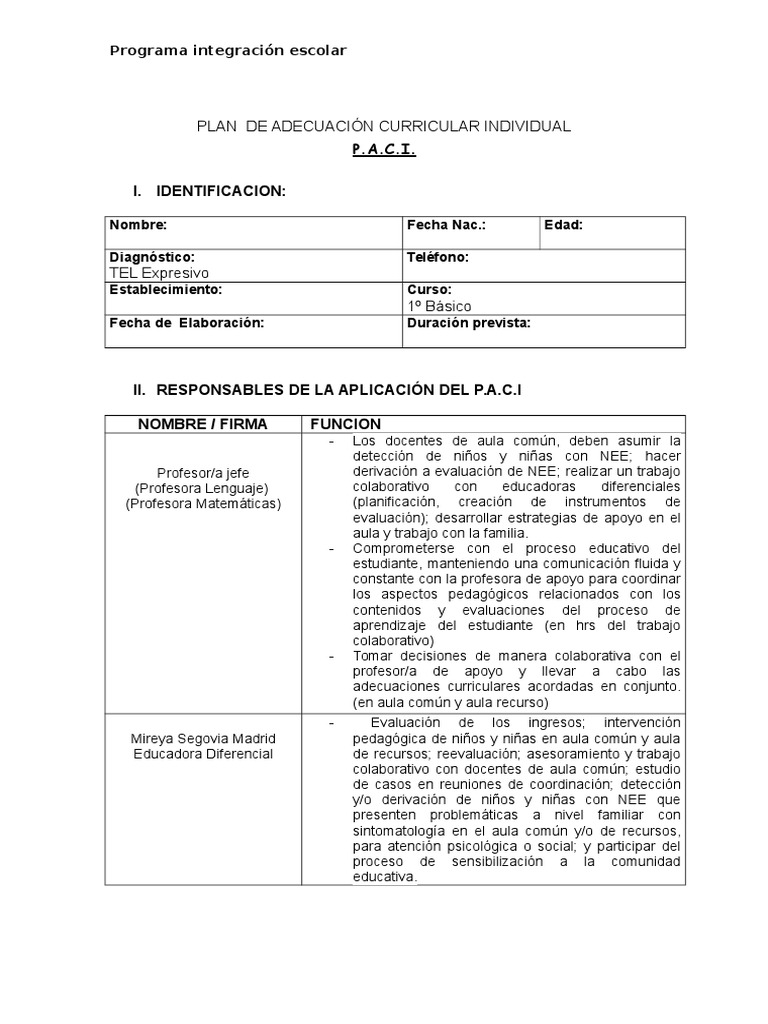 Plan de Apoyo Individual (PACI) 1º Básico | PDF | Evaluación ...