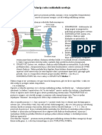 rashladni_sistemi.pdf