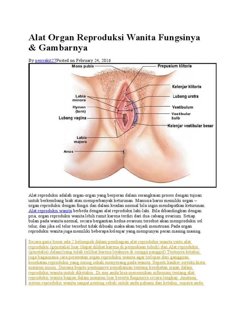 Qora ayollarning yalangoch erotikasi
