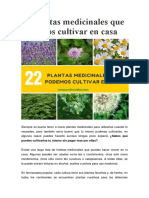 22 Plantas Medicinales Que Podemos Cultivar en Casa