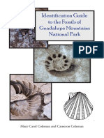 Fossil Guide PDF