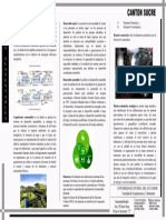 Jama PDF 