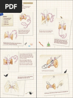 Ada Twist Activity Sheets Pdf Balloon Leisure