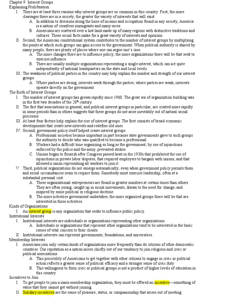 Understanding Interest Groups in America | PDF | Advocacy Group ...