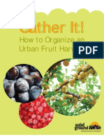 How to Organize an Urban Fruit Harvest