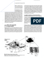 Homeostasis y Retroalimentacion l419032013 - 0000