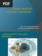 LESION%252c MUERTE CELULAR Y NECROSIS (1).ppt