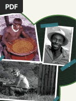 2 - Diversidade Cultural Brasileira