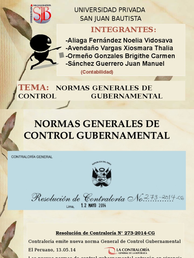 Normas Generales de Control Gubernamental | PDF | Auditoría financiera ...