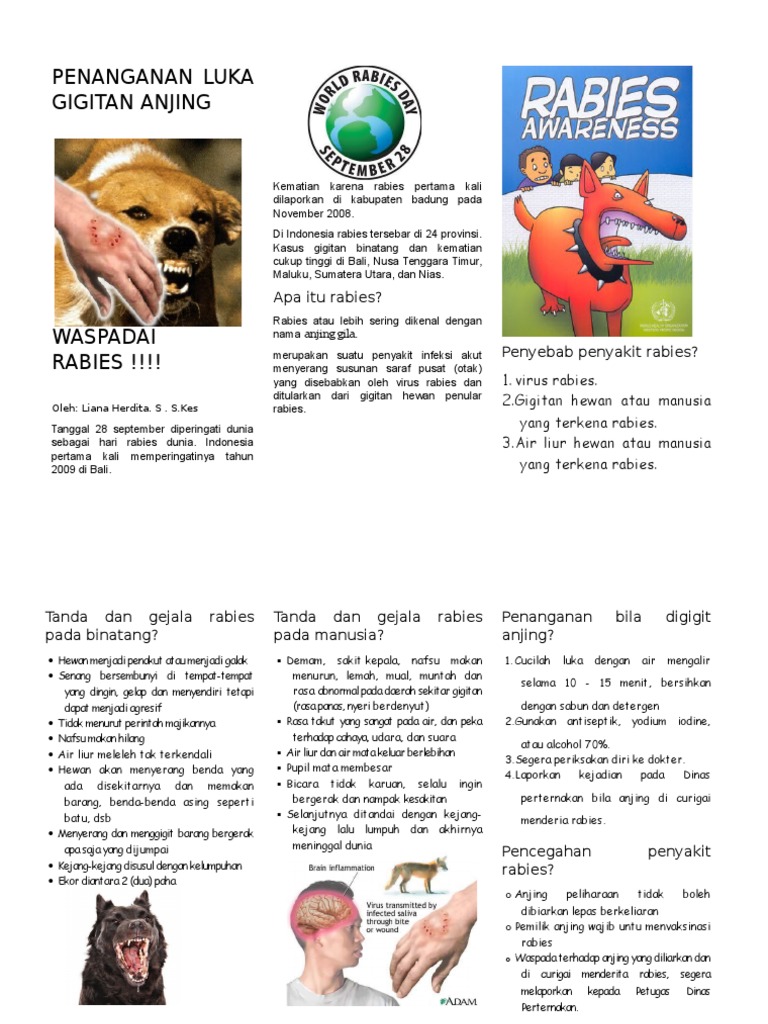 244439776 Penanganan Luka Gigitan Anjing