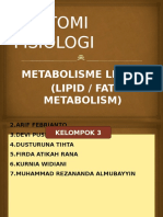 Anfis Metabolisme Lemak