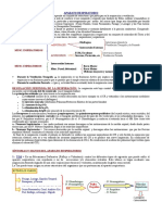 27902602-Semiologia-del-Aparato-Respiratorio.doc