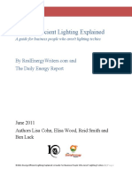 energy_efficient_lighting_explained_0.pdf