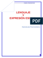 Lenguaje Expresion