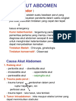 AKUT ABDOMEN DAN ILEUS.ppt