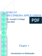 COM 205 Multimedia Applications: St. Joseph's College Fall 2004