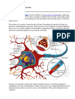 Neurons Notes 1 PDF
