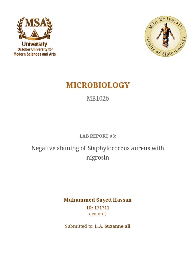 Microbiology Lab Report: Negative Staining of Staphylococcus Aureus ...