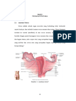 Anatomi Uterus dan Persalinan