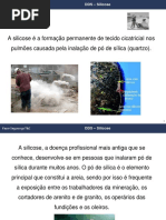 Dds - Silicose