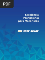 Excelência Profissional Para Motoristas
