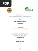 Download AML by Gita Fitriani SN34413564 doc pdf