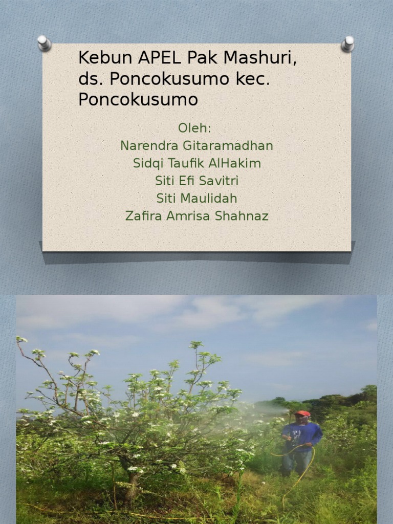 Analisis Keuntungan Kebun Apel Pak Mashuri | PDF