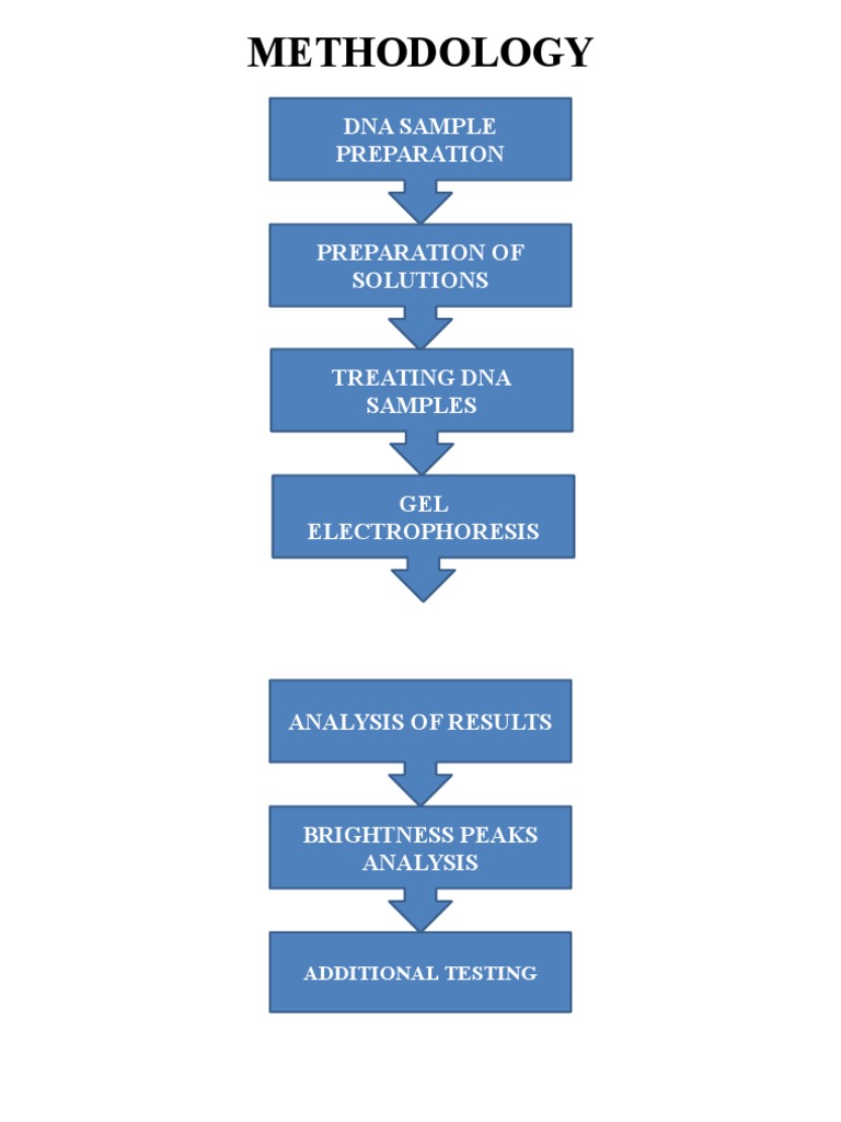 Methodology: Dna Sample Preparation | PDF | Science & Mathematics