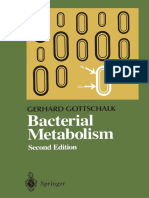 Bacterial+Metabolism