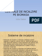 Centrale de Incalzire Pe Biomasa