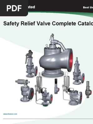 Consolidated Psv Catalog Pdf Valve Safety