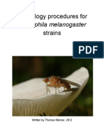 Drosophila Toxicology Procedures