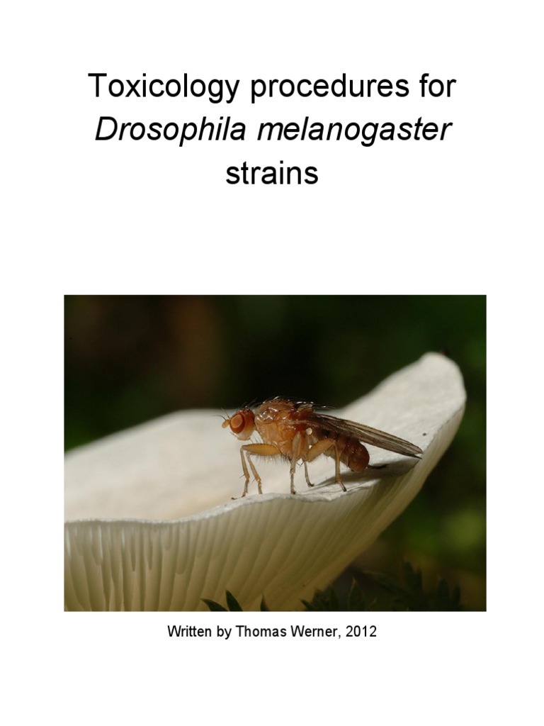 Drosophila Toxicology Procedures | PDF | Egg | Nature