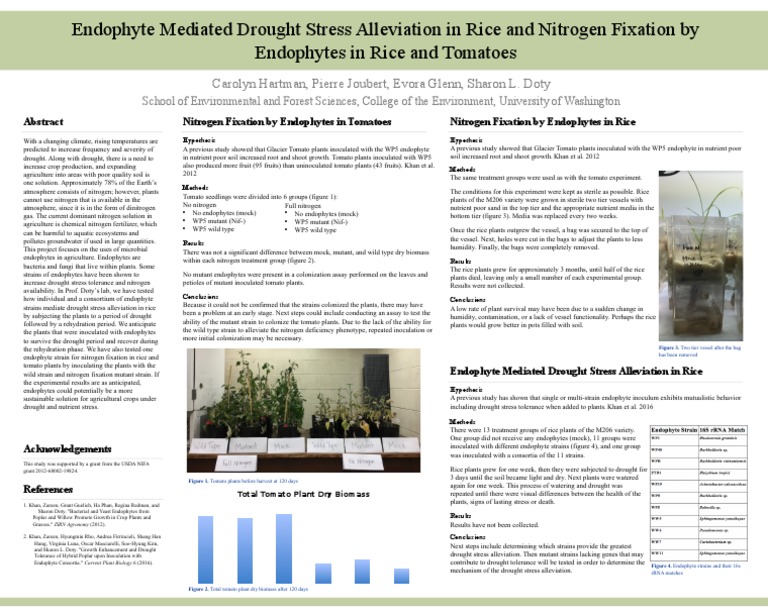 Esrm Capstone Poster Pdf Rice Soil