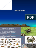 Lectie 15 Artropode Arahnide Si Crustaceae
