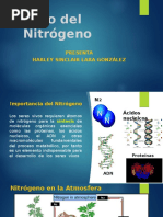 Ciclo Del Nitrógeno