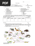 Test Relatii Trofice in Ecosistem