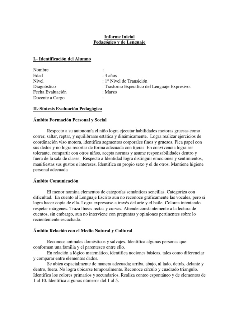 Formato Informe Inicial Pedagogico y Lenguaje TEL.pdf | Palabra ...