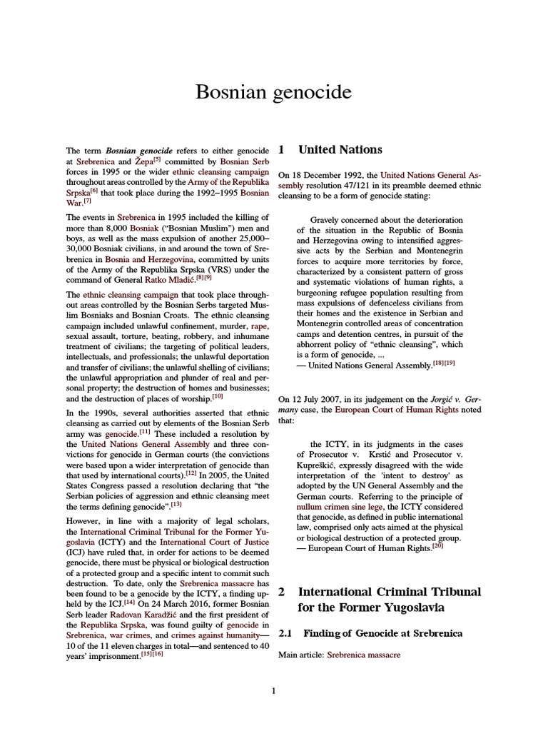 Bosnian Genocide Pdf Ethnic Cleansing Genocides