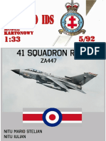 41 Squadron RAF