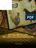 Revalorizacion de Las Gallinas Mapuche