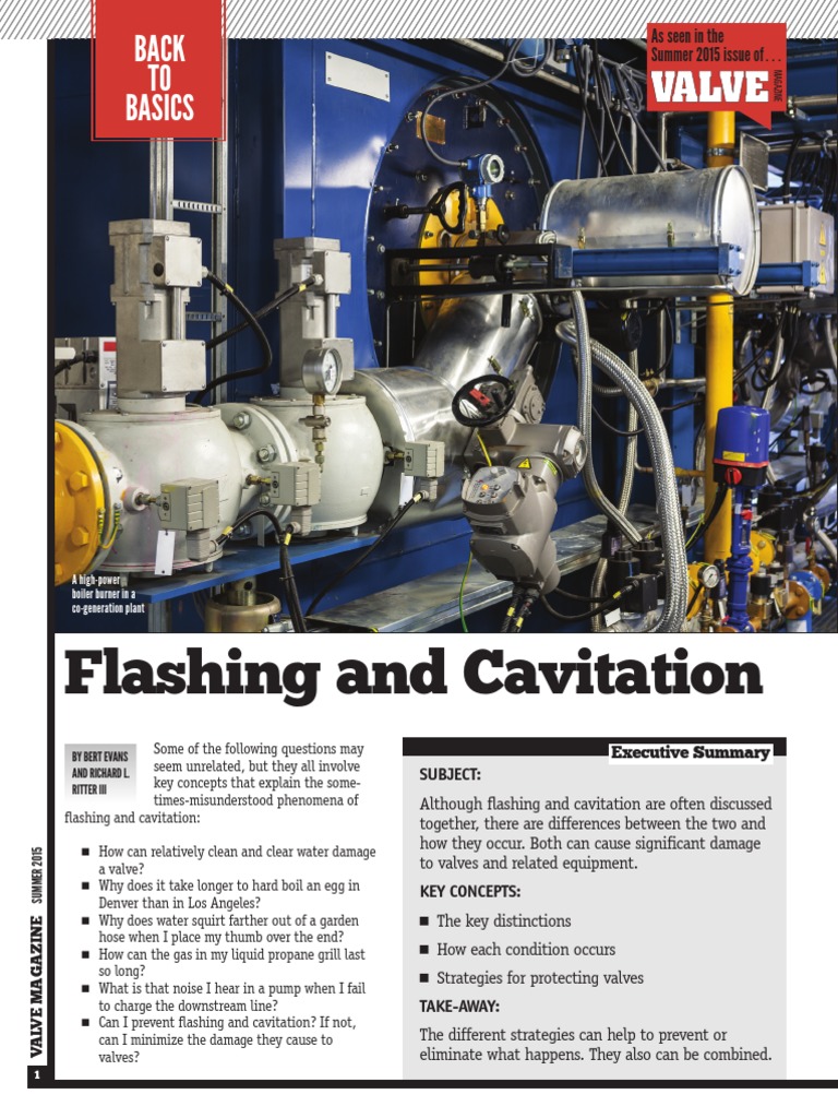 Flashing and Cavitation Back TO Basics PDF