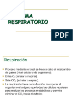 Sistema Respiratorio